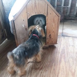 Meet your Posher, Daniel